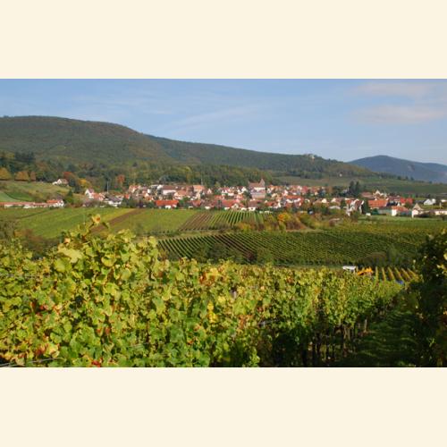 Foto `Herbstlicher Blick auf Gleisweiler`