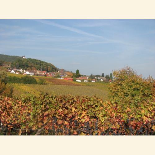 Foto `Stellplätze am Winzerhof im Herbst`